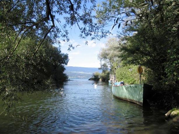 Embouchure de la Mentue dans le lac de Neuchâtel à Yvonand.